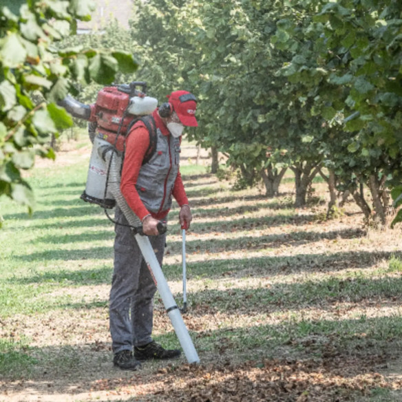 Aspiratore CIFARELLI V1200E per Castagne e Noci | Guru Garden