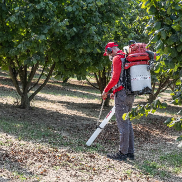 Aspiratore CIFARELLI V1200E per Castagne e Noci | Guru Garden