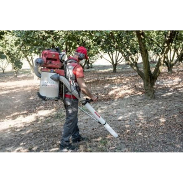 Aspiratore CIFARELLI V1200E per Castagne e Noci | Guru Garden
