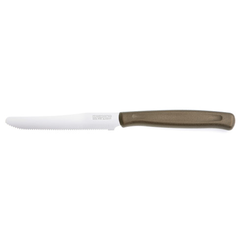 Set 6 Coltelli da Tavola Inox Dentati 11cm | Guru Garden