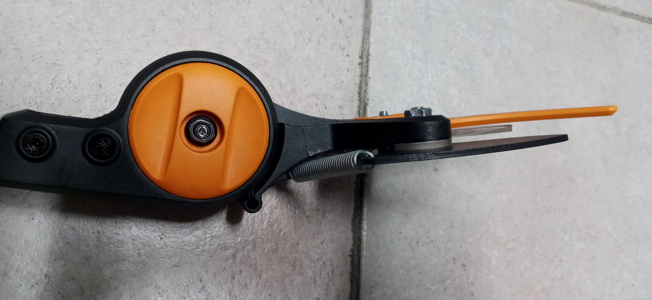 Recensione Alpaca 2