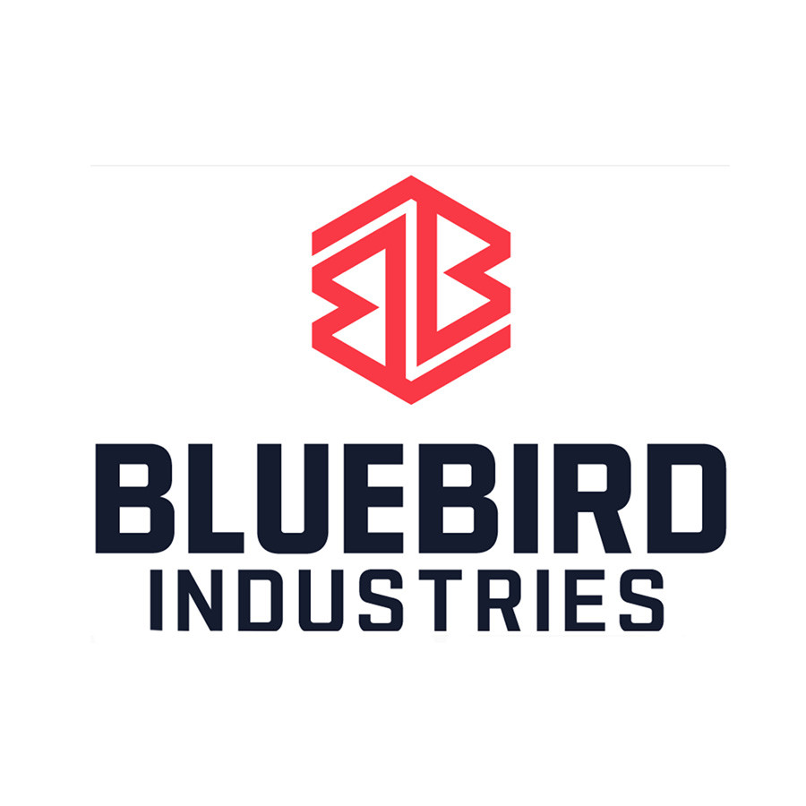 BLUE BIRD