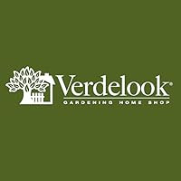 VERDELOOK